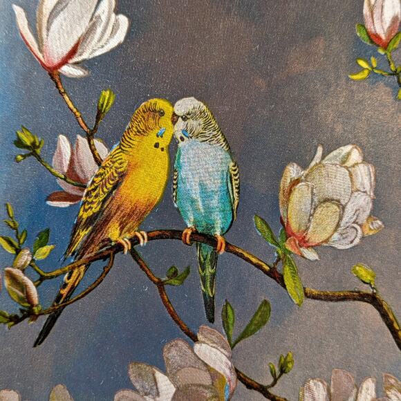 Foil Art Bird Lot Two (2) Signed F. Osborne Vintage B Parakeet Magnolias Floral2 - Picture 5 of 16